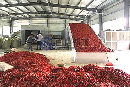 重慶小型網(wǎng)帶式辣椒烘干機(jī)